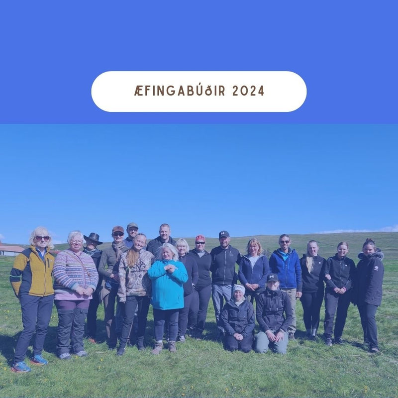 Æfingabúðir fyrir áhugasama hundaeigendur