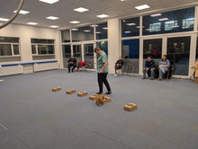 Þjálfun – hundur leitar í kössum á nosework æfingu
