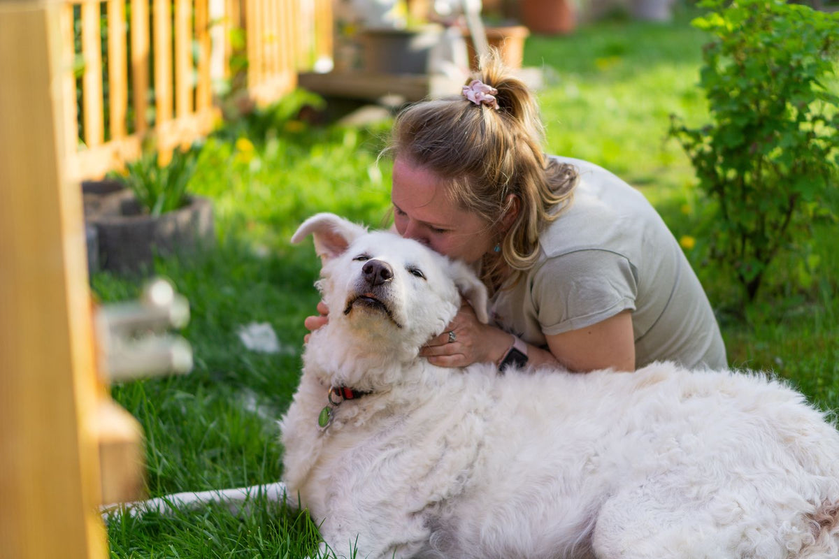 Heilsa – kona faðmar hvítan hund úti í garði