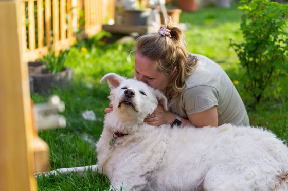 Heilsa – kona faðmar hvítan hund úti í garði