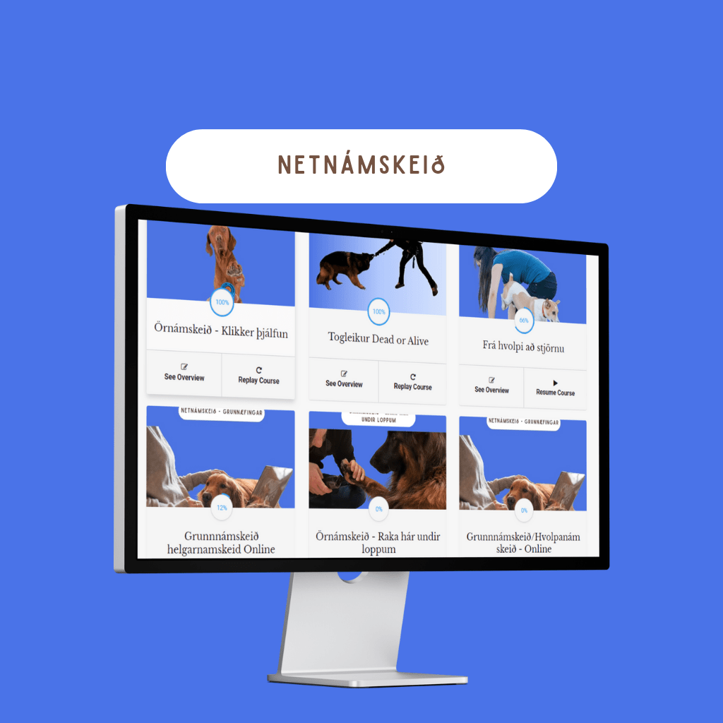 Tölvuskjár sem sýnir netnámskeið fyrir hundaeigendur sem að Hundakúnst bíður uppá