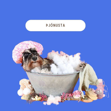 Þjónusta - Hundakúnst