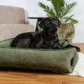Hundabæli – Lex&Max Chicago Green með svörtum labrador