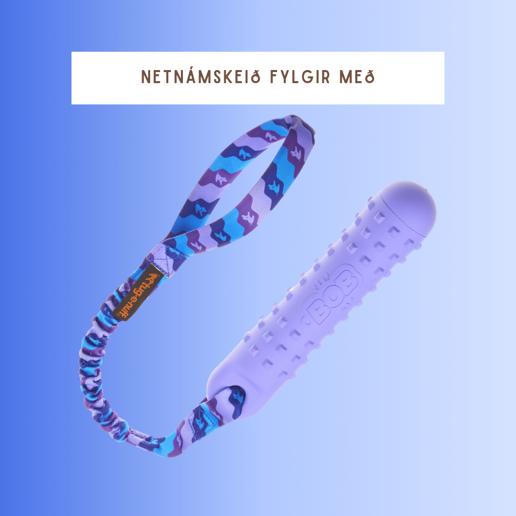 BOB - Dummy og togleikfang sem flýtur