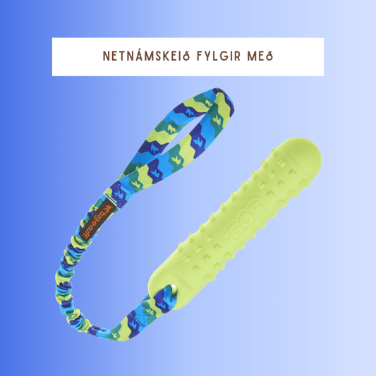 BOB - Dummy og togleikfang sem flýtur