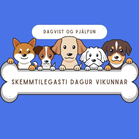 Skemmtilegasti dagur vikunnar fyrir hundinn þinn