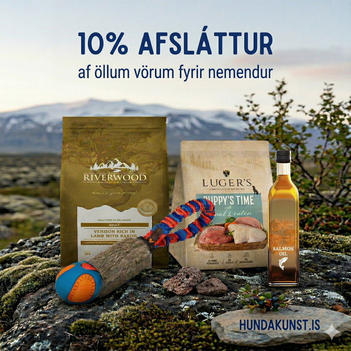 Allt fyrir hundaeigandan