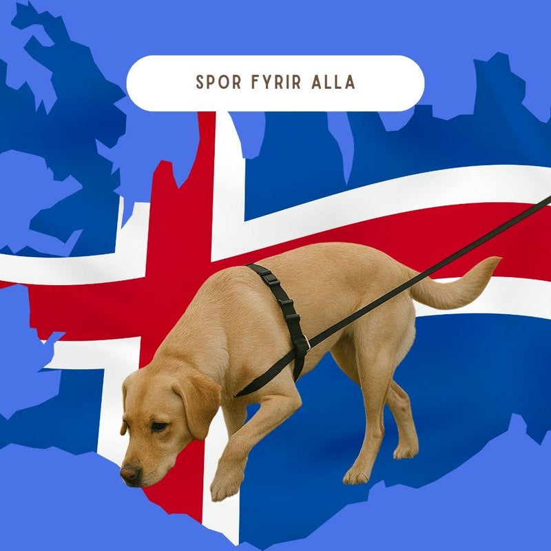 Sporanámskeið fyrir allan hunda