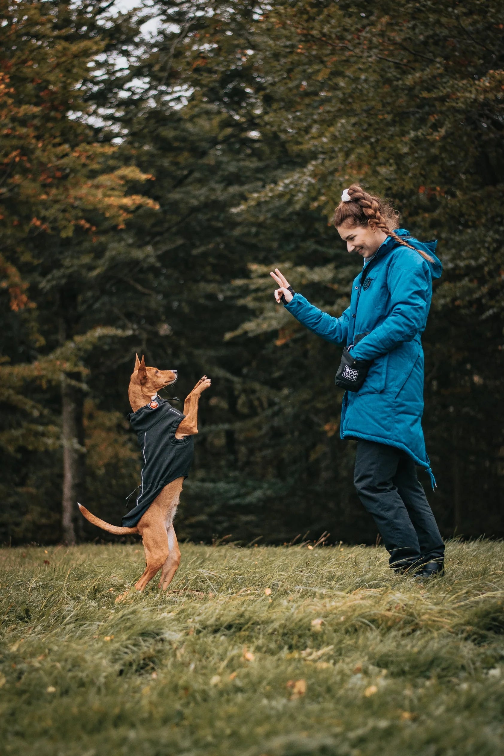 Opinn nammipoki með festingu - lítið þjálfunartól til að verðlauna hund fljótt í æfingum.