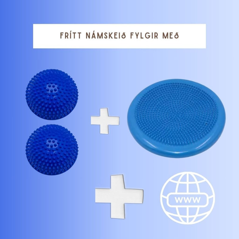 Jafnvægispúðar fyrir hunda til styrktar- og jafnvægisæfinga. Netnámskeið innifalið.