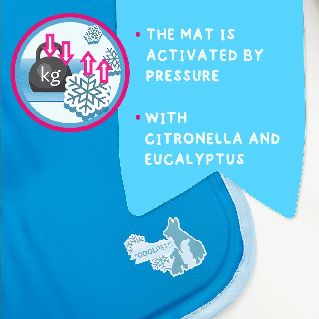 XL-stærð CoolPets Premium Gel kælimotta með ljósbláu umbúðarboxi og mynd af stóra hvolpi.