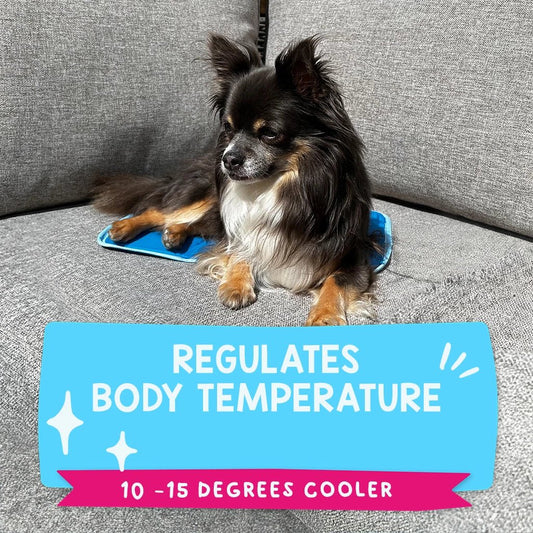 Hundur liggur á CoolPets Premium Gel kælimottu.