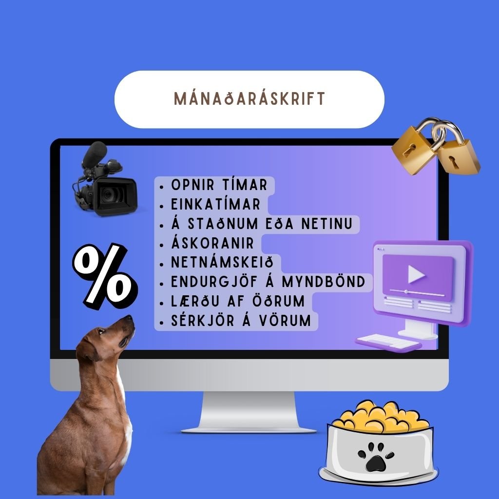 Hundakennsla í áksrift. Hvort sem þú ert með hvolp eða fullorðinn hund.