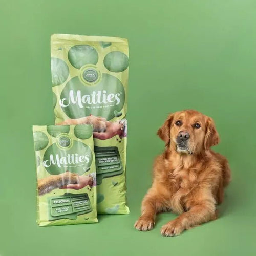 Matties Premium Adult Chicken