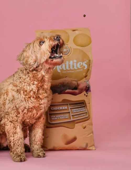 Matties Premium Adult Senior & Light