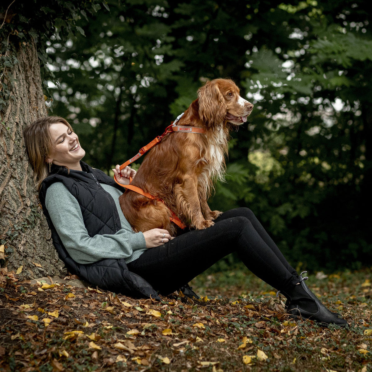 Hundataumur – Siccaro Sealines Orange, kona með hund í skógi