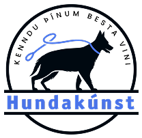 Hundakúnst