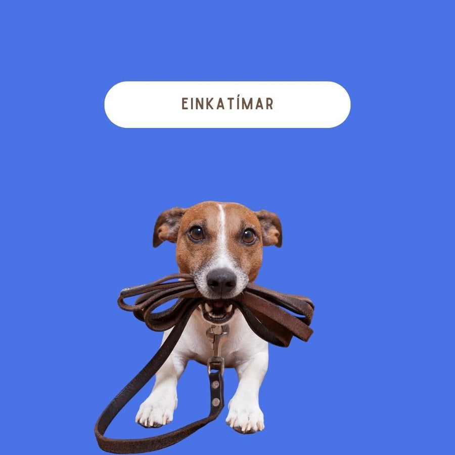 Einkatímar
