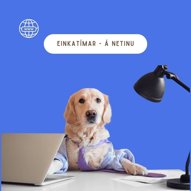 Einkatímar á netinu sem fara fram á Zoom. Þú munt fá tölvupóst með link á fundinn þegar þú bókar
