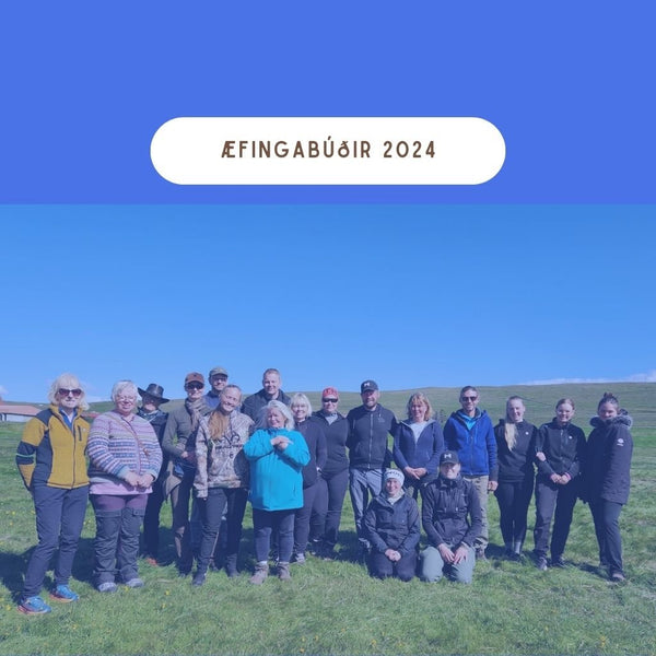 Æfingabúðir 2026