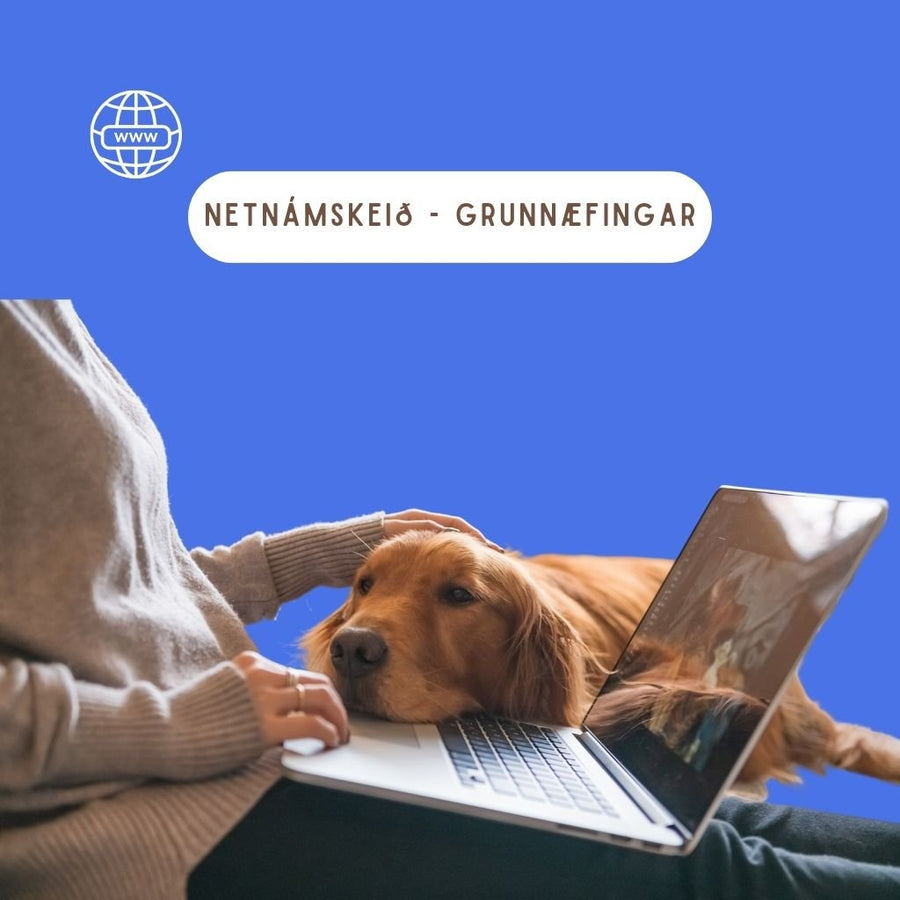 Hvolpa/grunnnámseið - Online